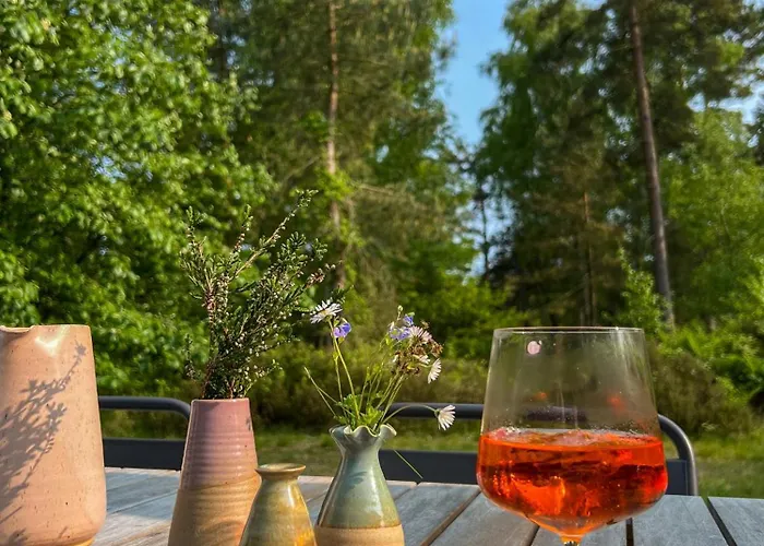 Renovated By Forest In Dueodde Neksø