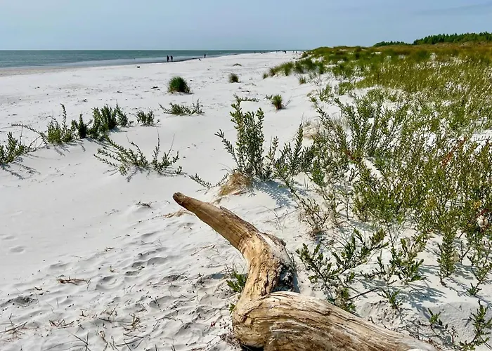 Σπίτι διακοπών Renovated By Forest In Dueodde